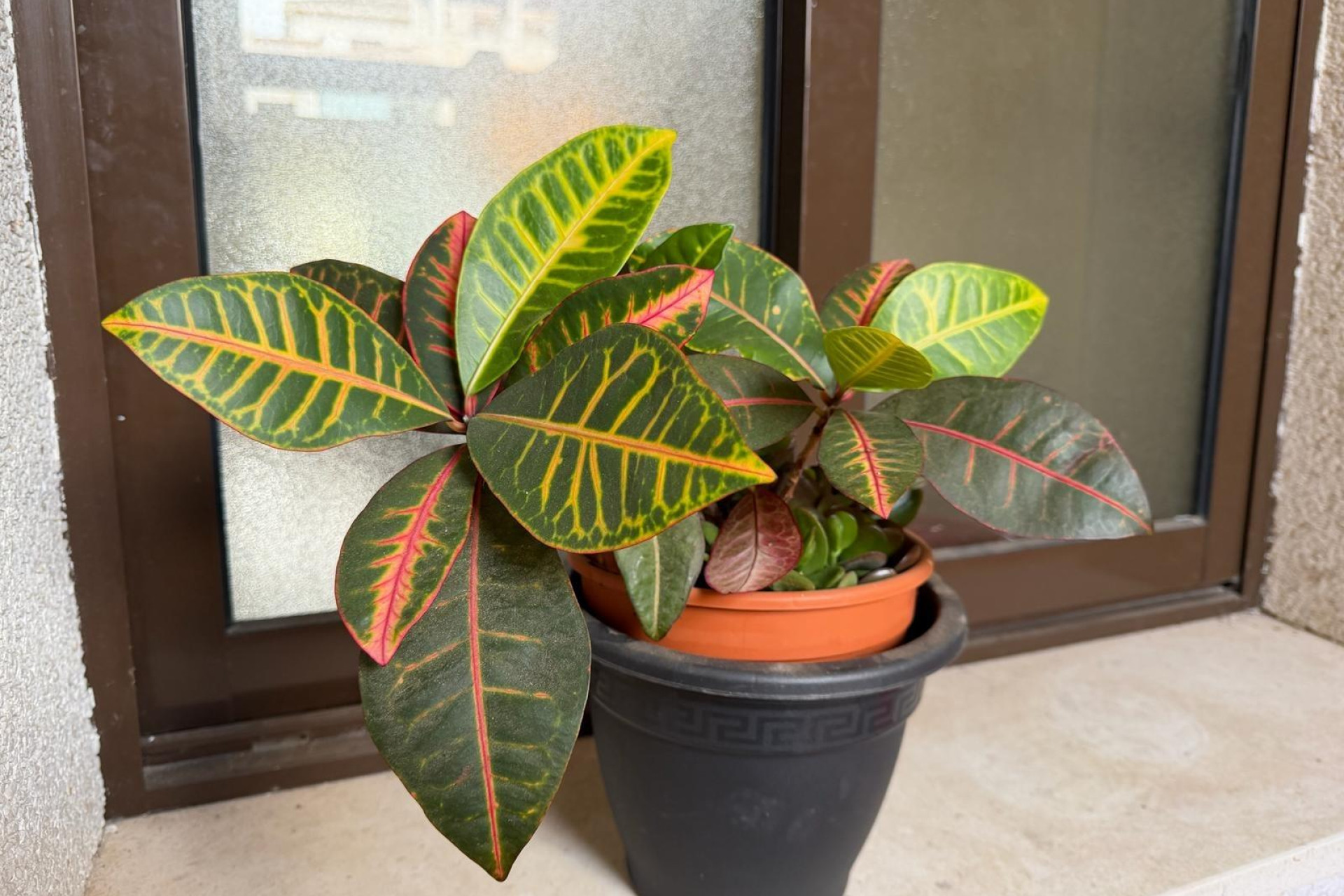 Revente - Apartment - Orihuela Costa - Lomas de Cabo Roig