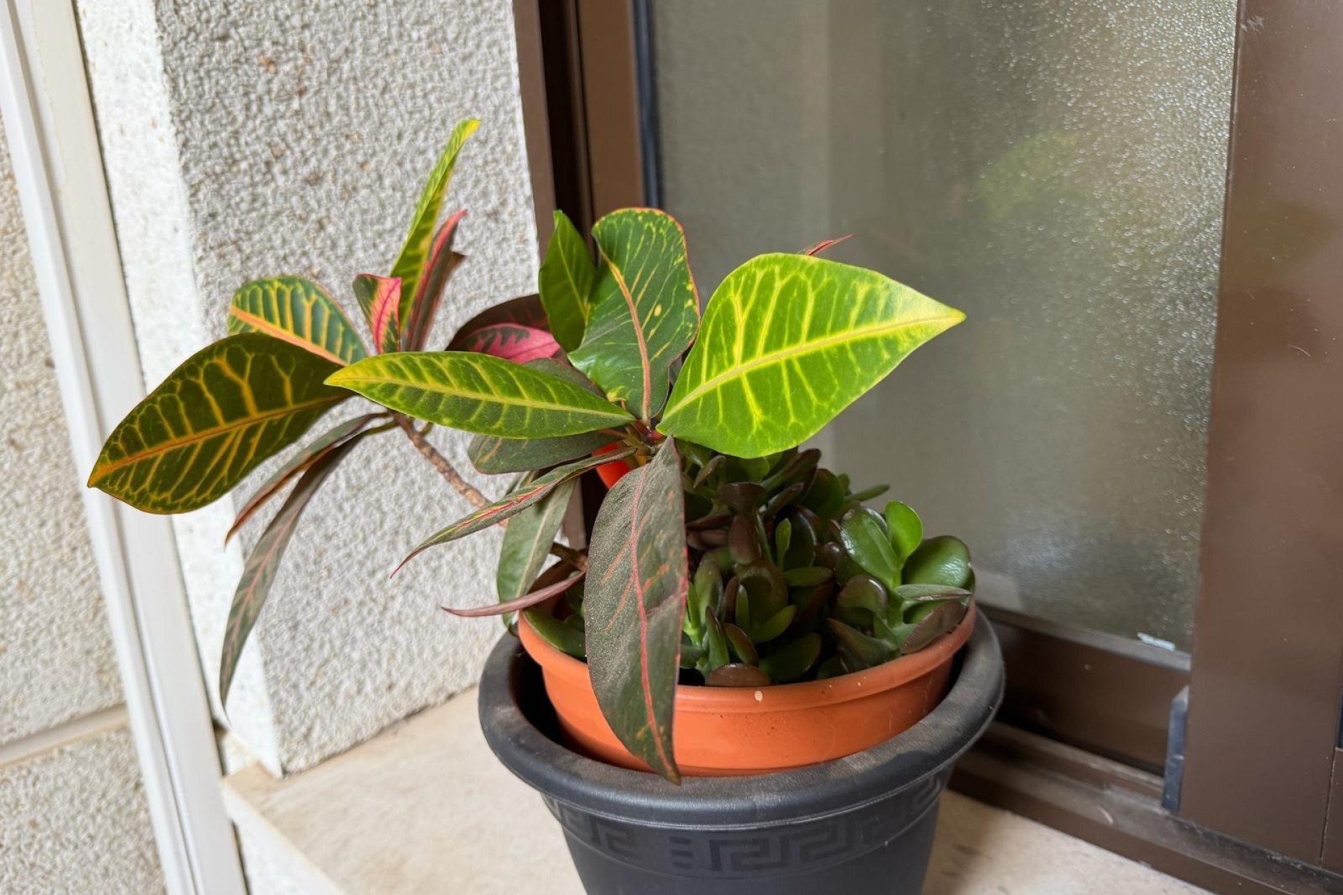 Revente - Apartment - Orihuela Costa - Lomas de Cabo Roig