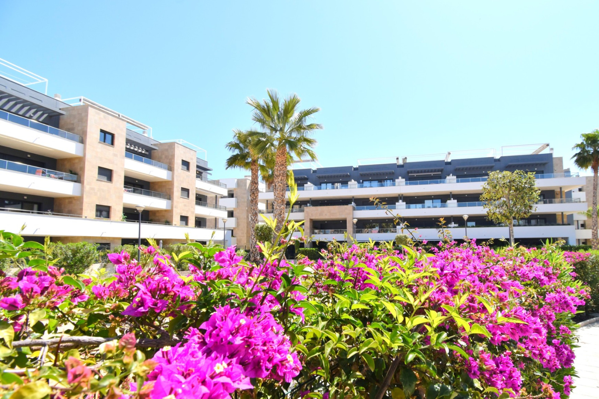 Revente - Apartment - Orihuela Costa - Playa Flamenca