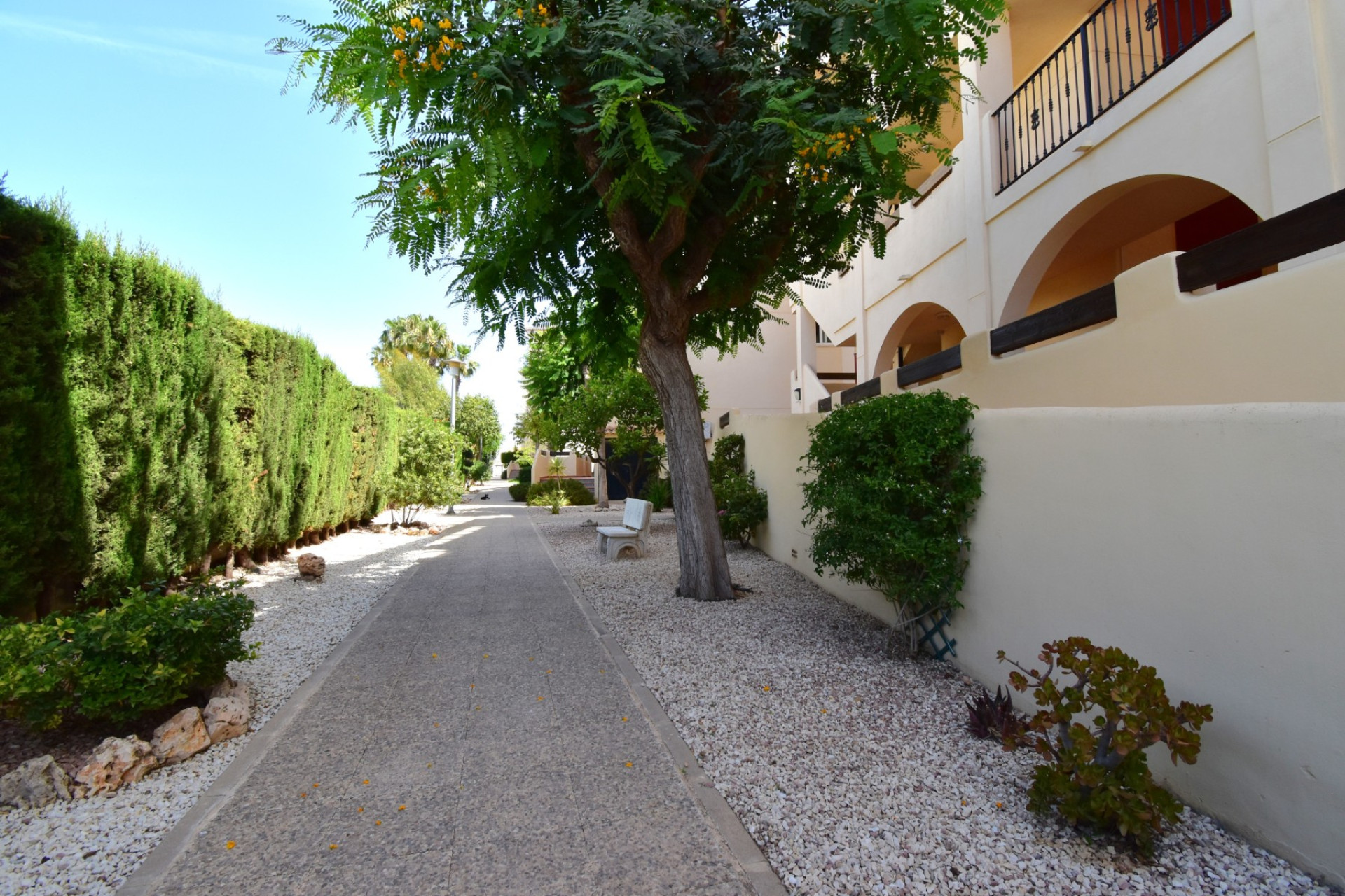 Revente - Apartment - Orihuela Costa - Playa Flamenca