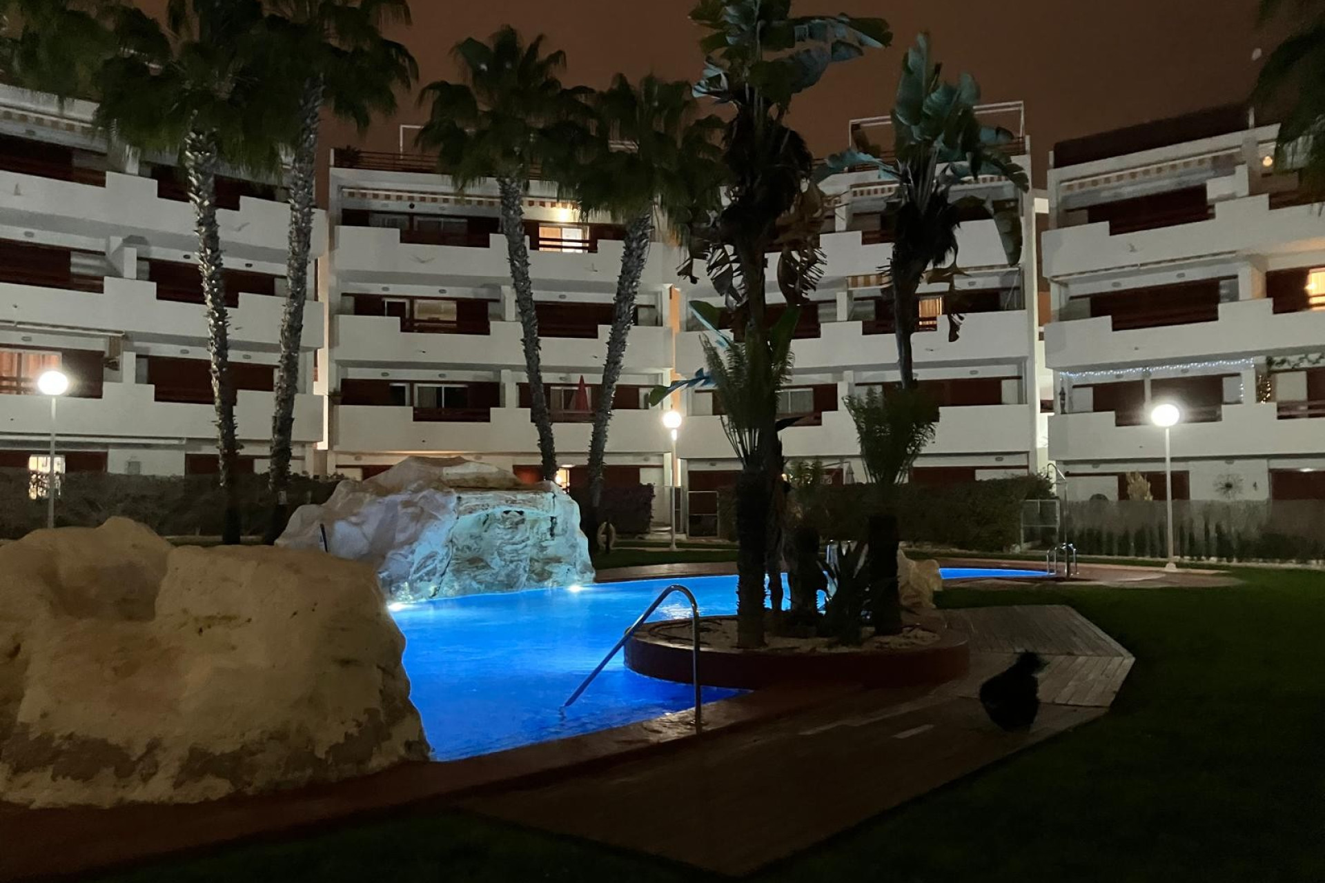 Revente - Apartment - ORIHUELA COSTA - Playa Flamenca