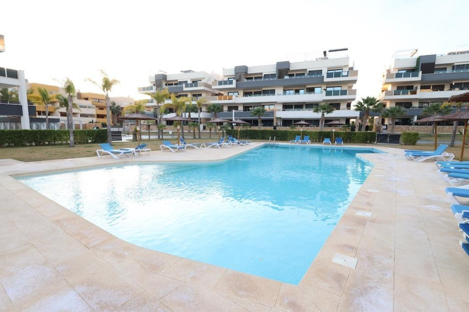 Revente - Apartment - Orihuela Costa - Punta Prima