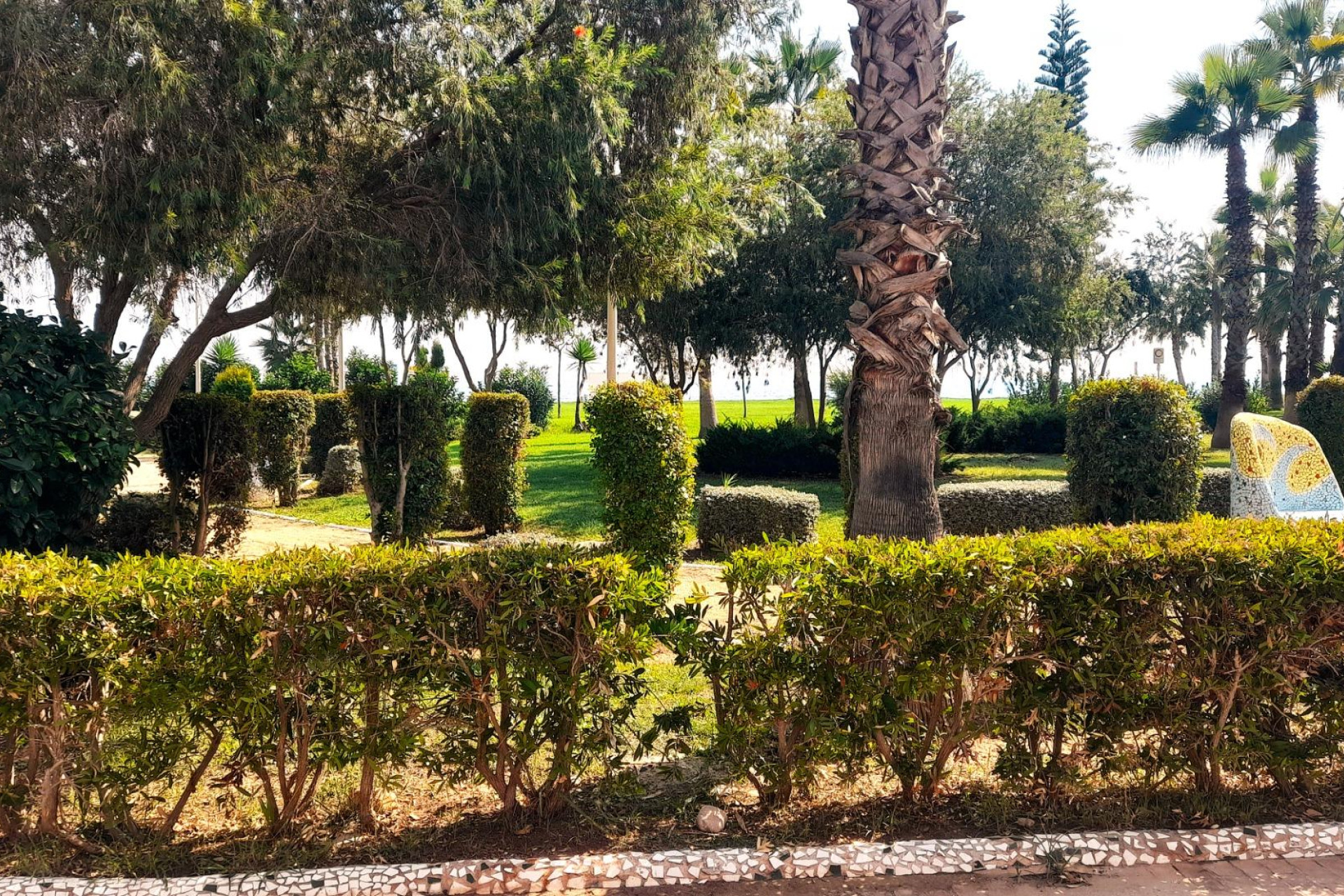 Revente - Apartment - Oropesa del Mar - Orpesa - Oropesa del Mar