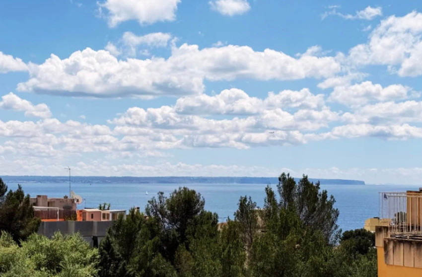 Revente - Apartment - Palma - Sant Agustí