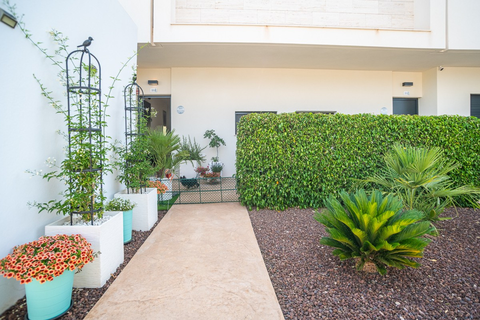 Revente - Apartment - Pilar de la Horadada - Lo Romero Golf