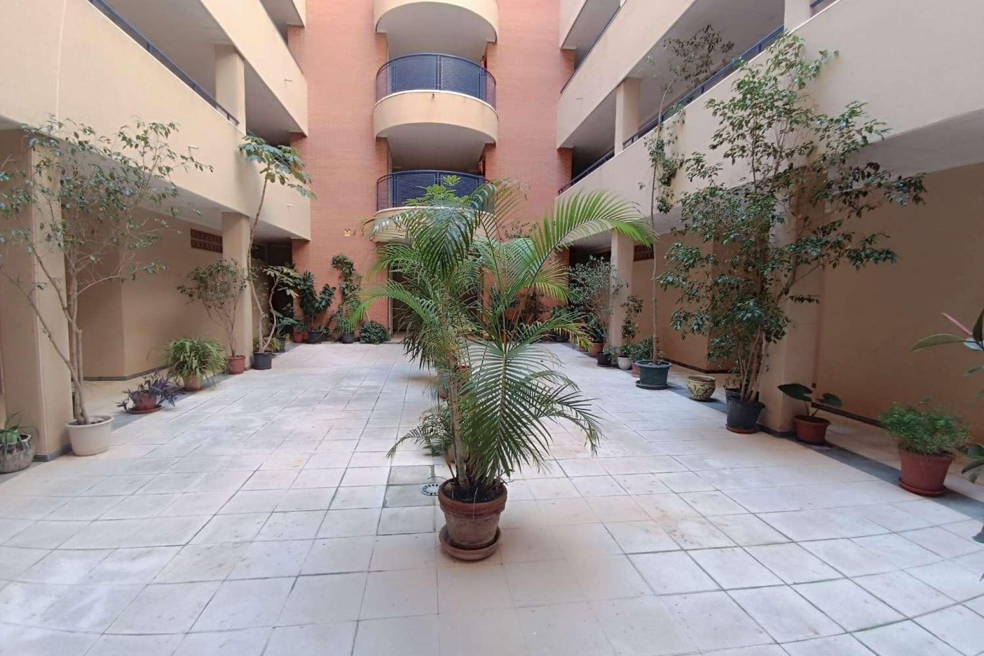 Revente - Apartment - Torrevieja - Acequion