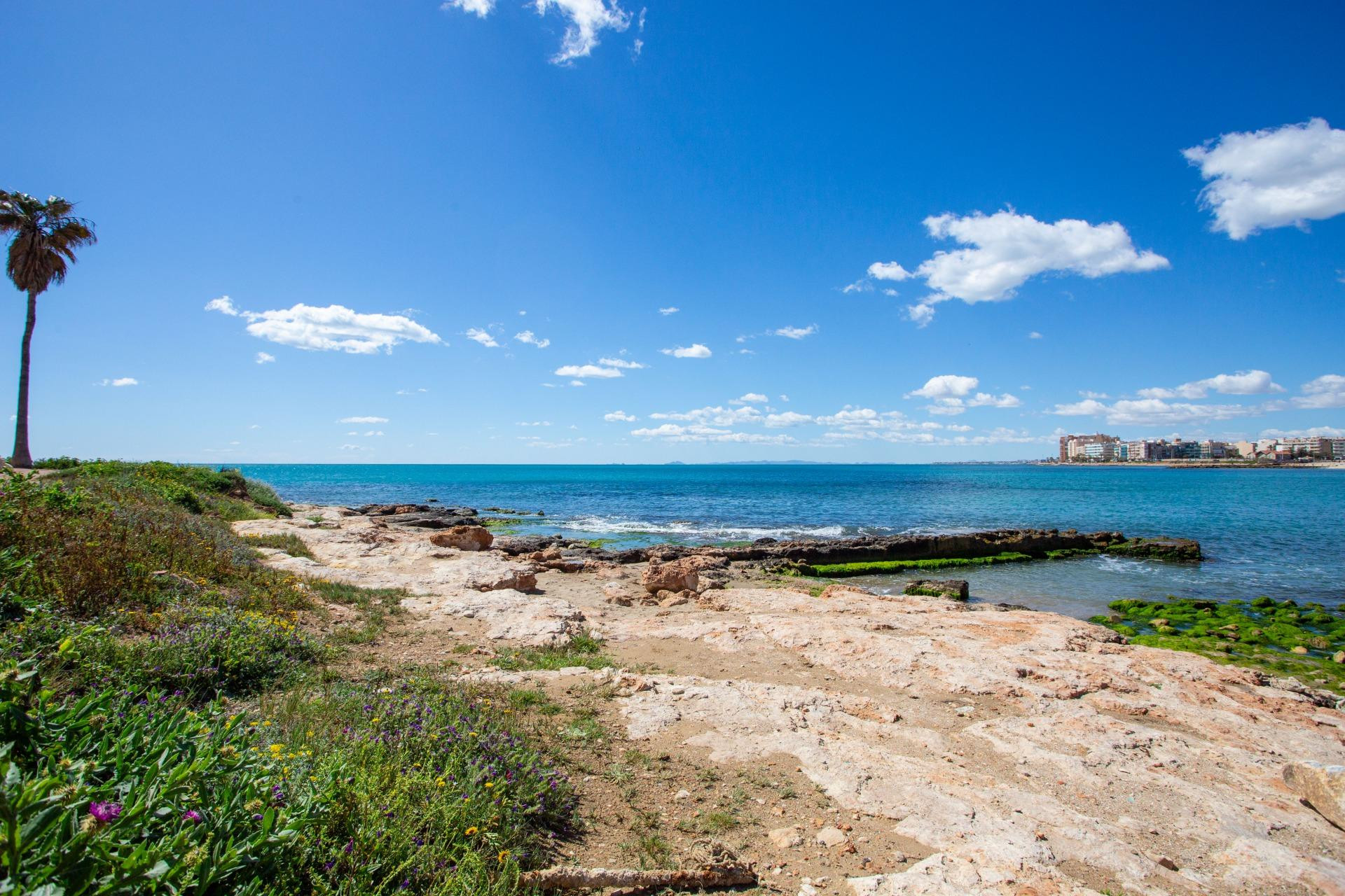 Revente - Apartment - Torrevieja - Centro - Muelle Pesquero