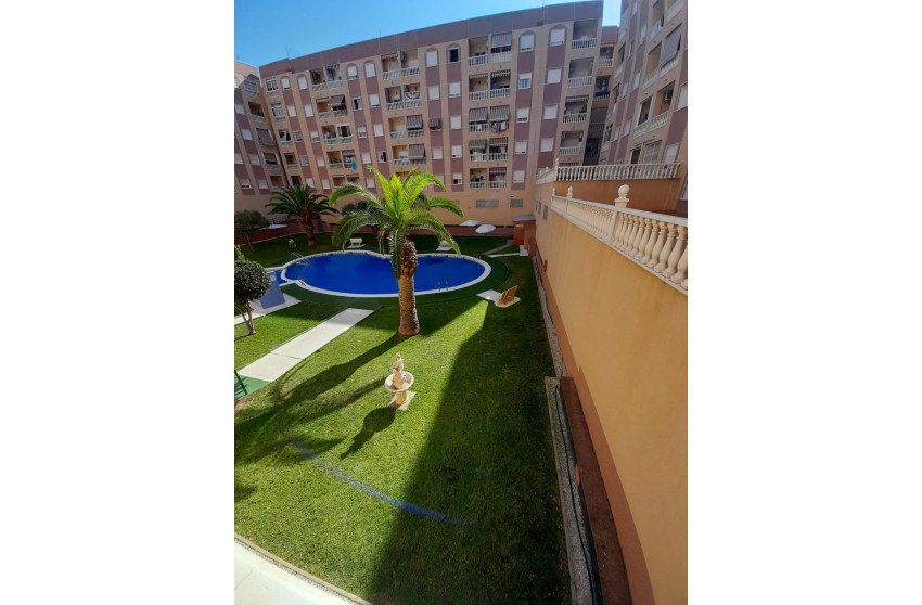 Revente - Apartment - Torrevieja - Centro