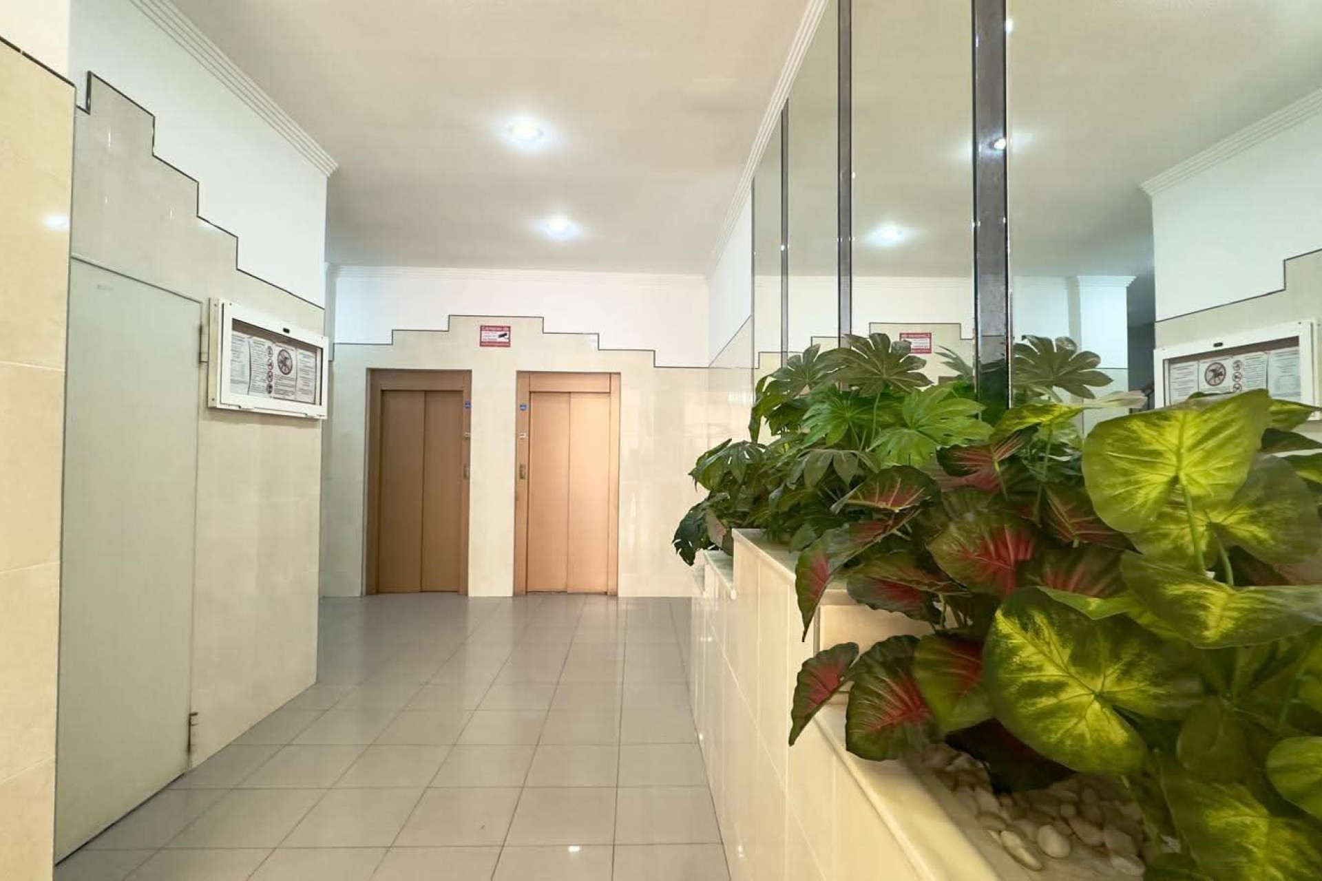 Revente - Apartment - Torrevieja - Centro