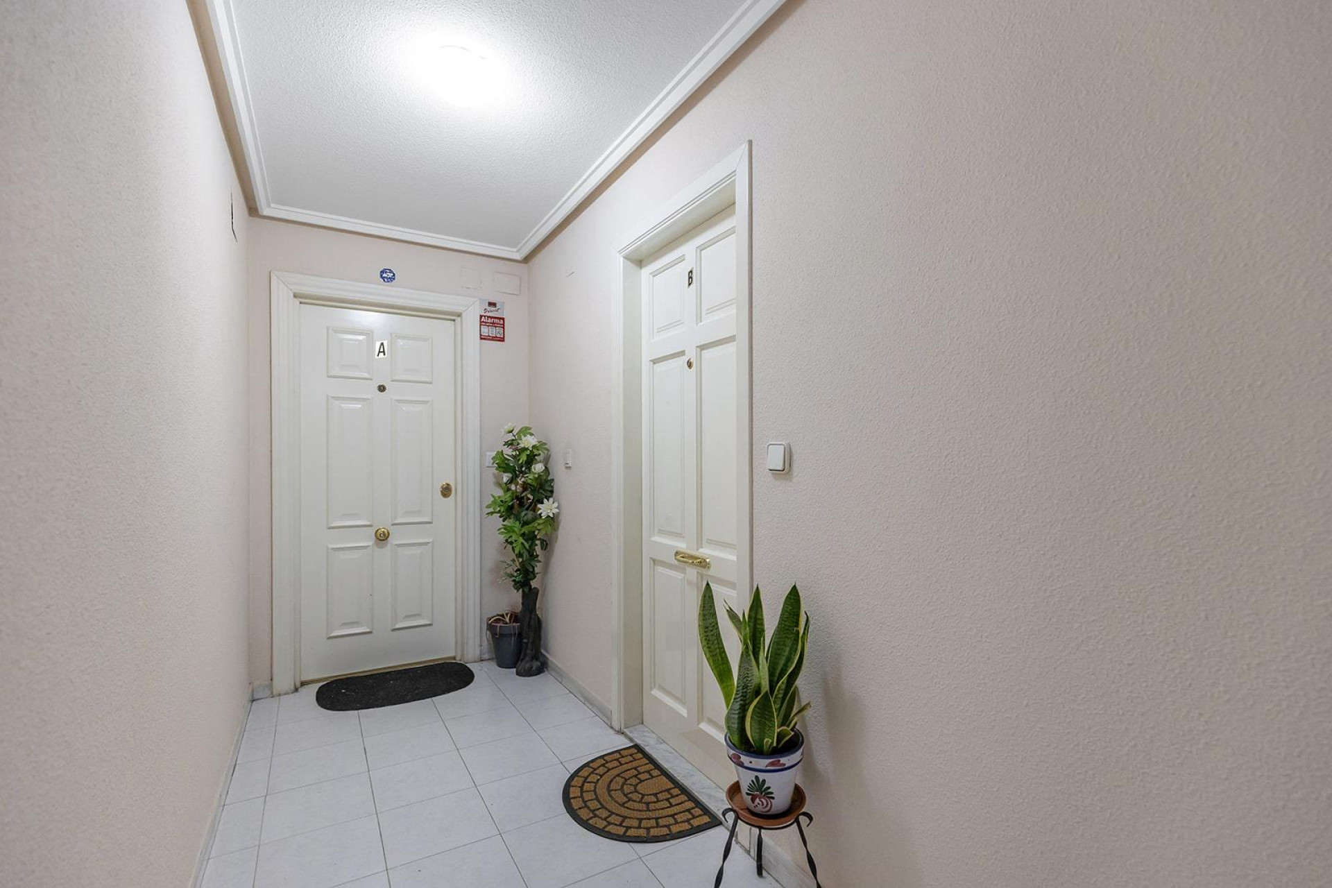 Revente - Apartment - Torrevieja - Estacion de autobuses