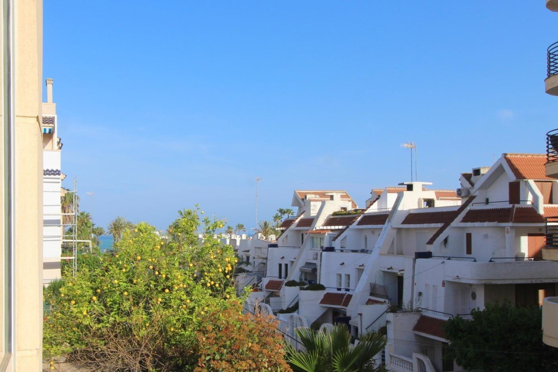 Revente - Apartment - Torrevieja - La veleta