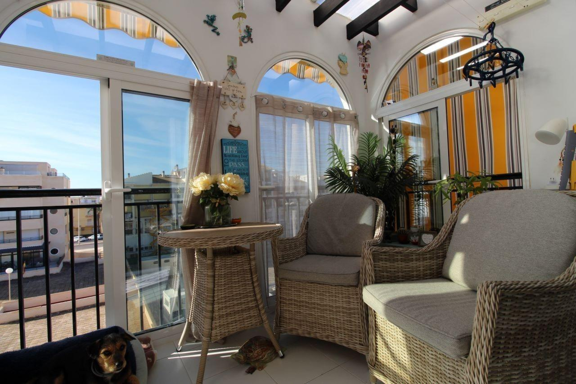 Revente - Apartment - Torrevieja - La veleta