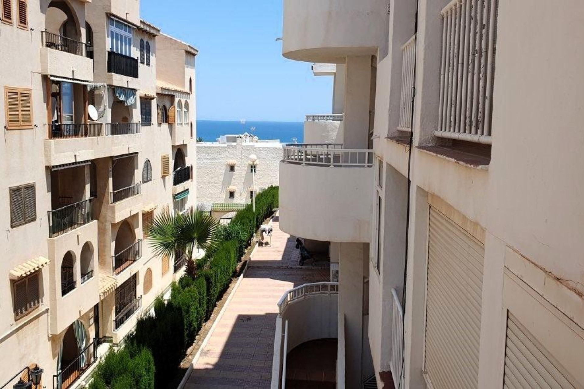 Revente - Apartment - Torrevieja - Los Europeos