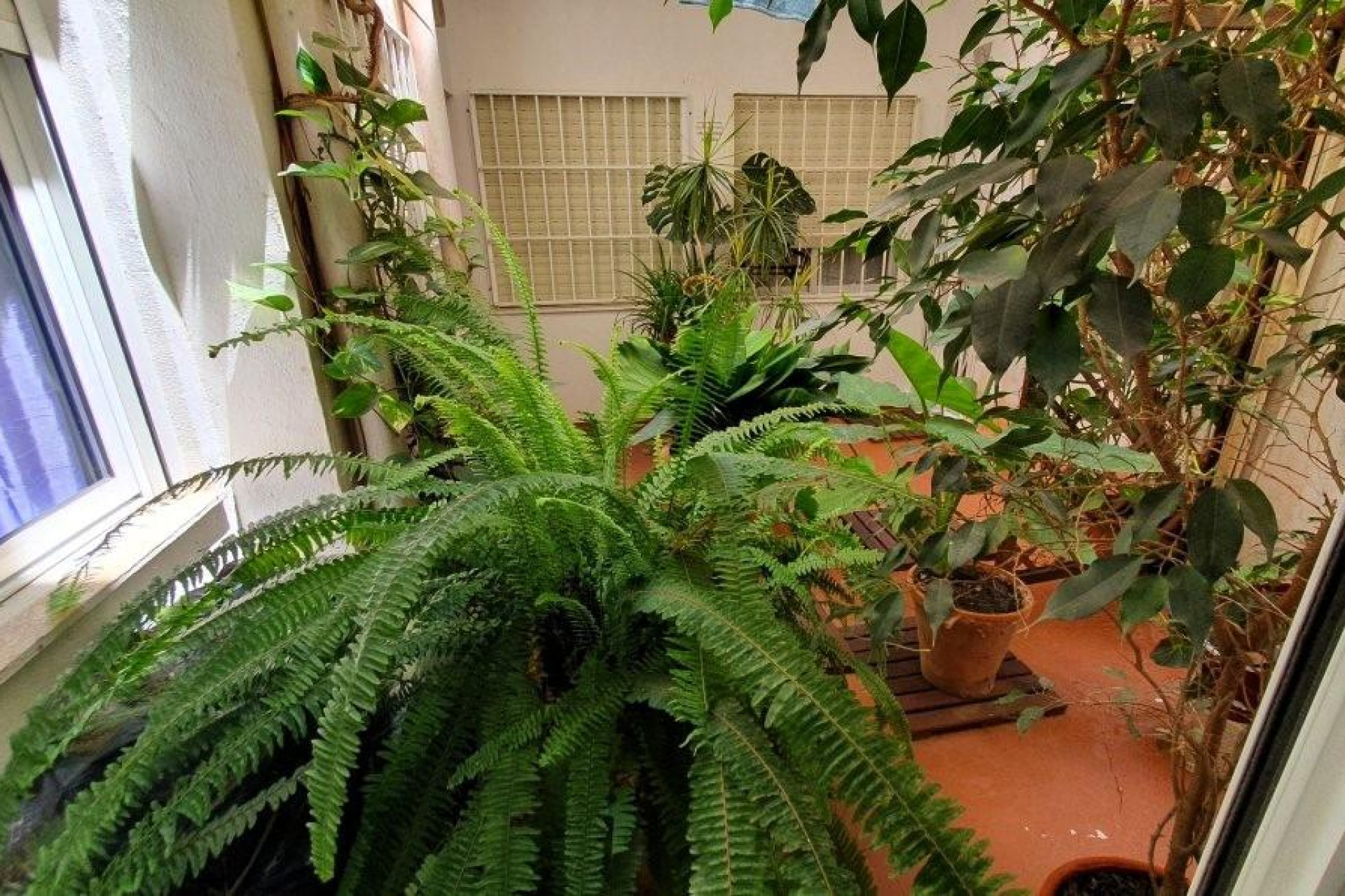 Revente - Apartment - Torrevieja - Los Europeos