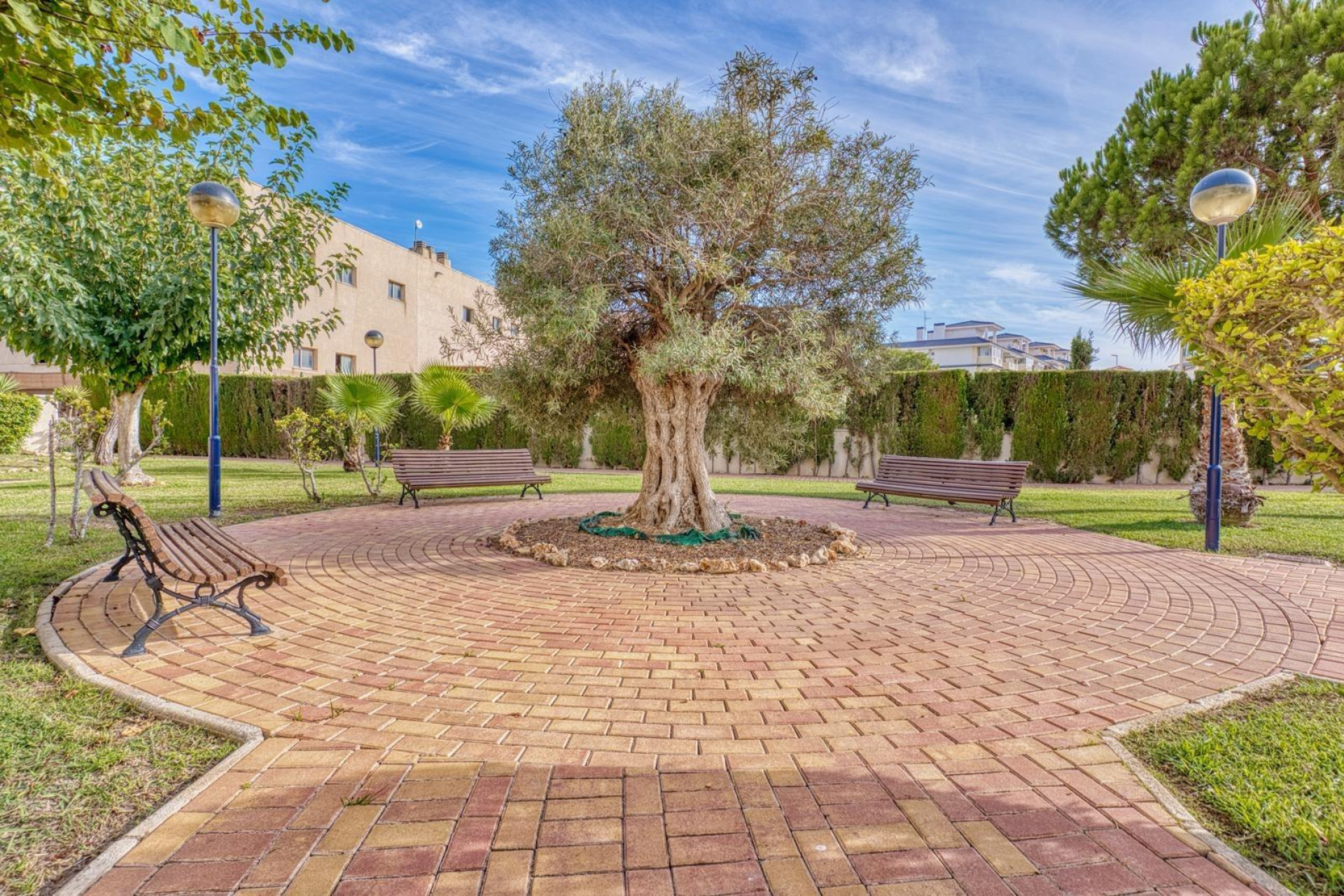 Revente - Apartment - Torrevieja - Los Europeos