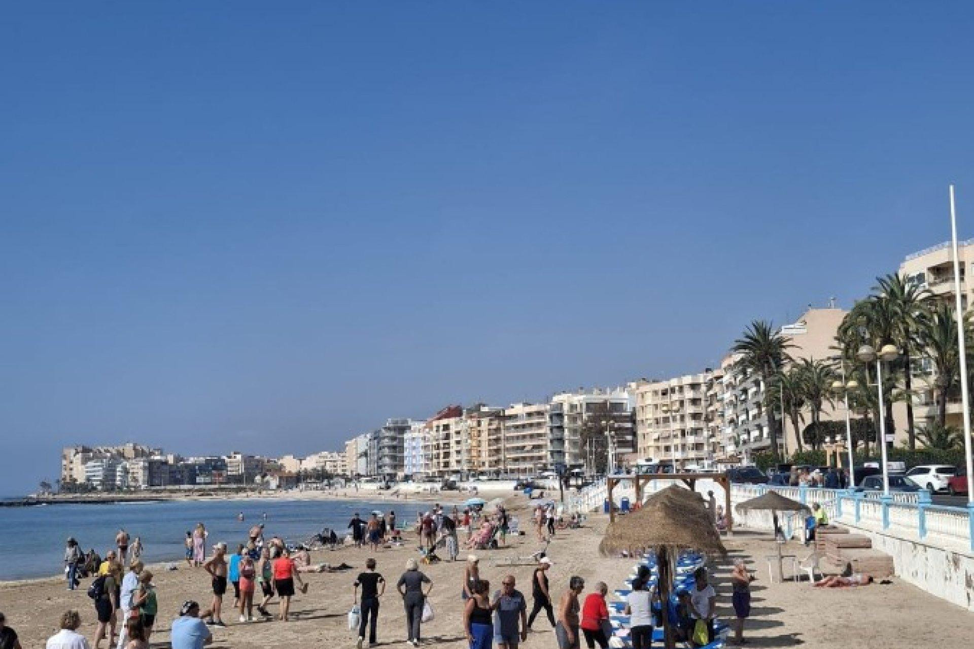 Revente - Apartment - Torrevieja - Los Frutales