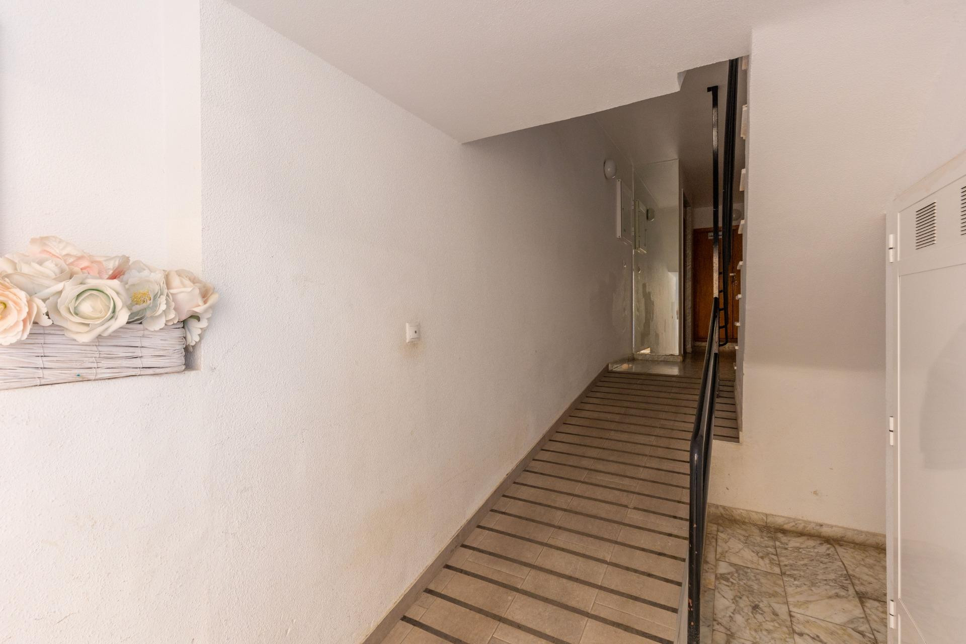 Revente - Apartment - Torrevieja - Nueva Torrevieja