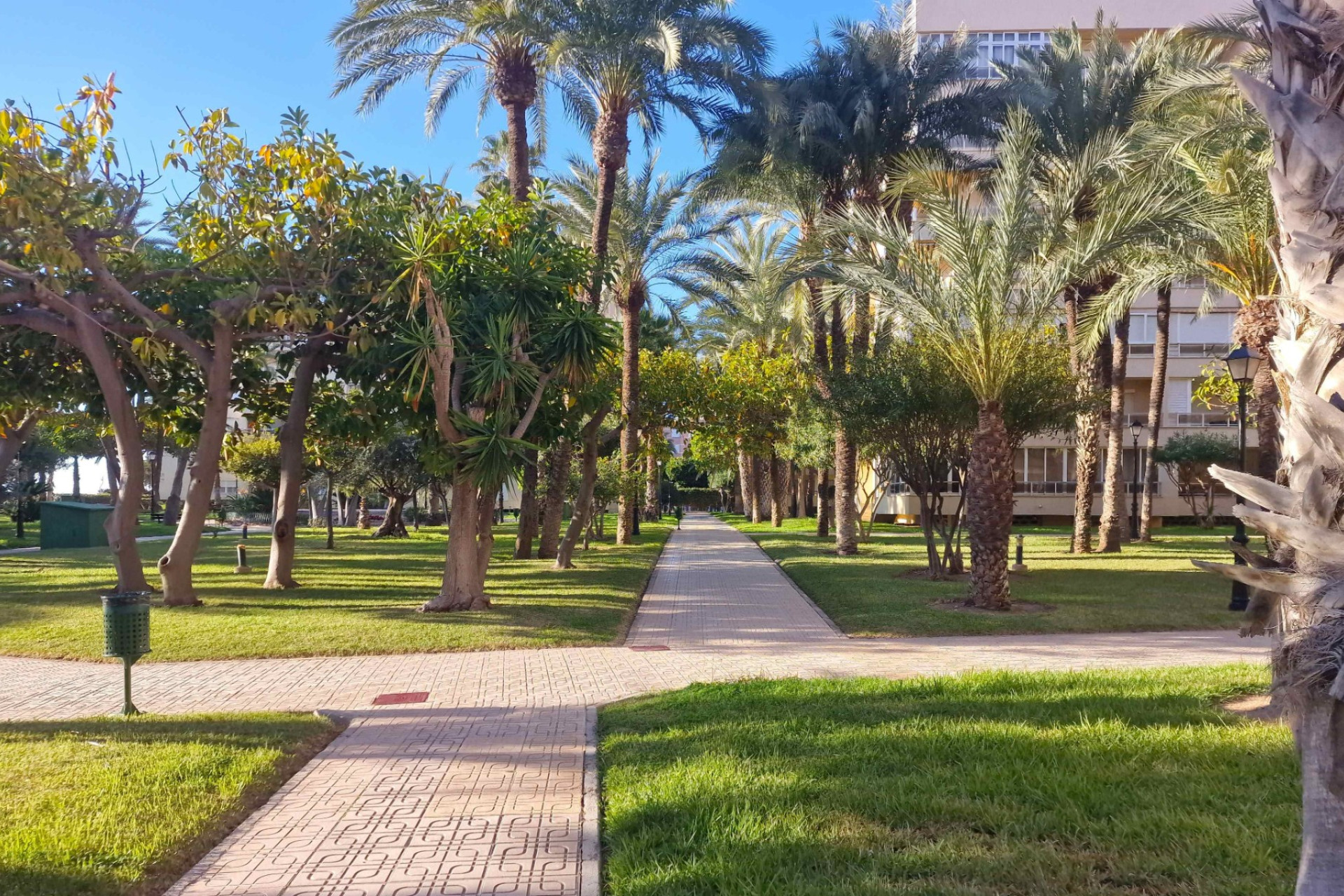 Revente - Apartment - Torrevieja - Playa de los locos