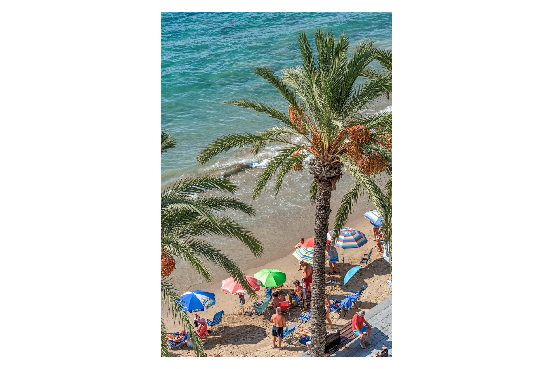 Revente - Apartment - Torrevieja - Playa Del Cura