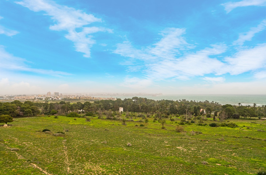 Revente - Apartment - Torrevieja - Punta Prima