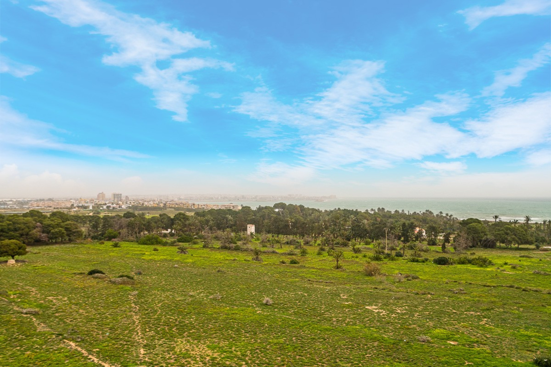 Revente - Apartment - Torrevieja - Punta Prima