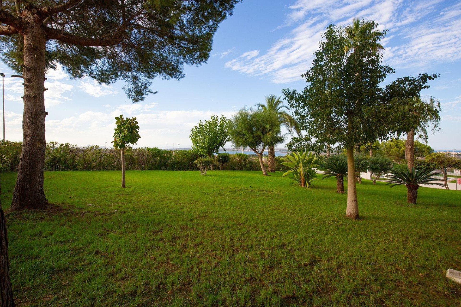 Revente - Apartment - Torrevieja - Torreblanca