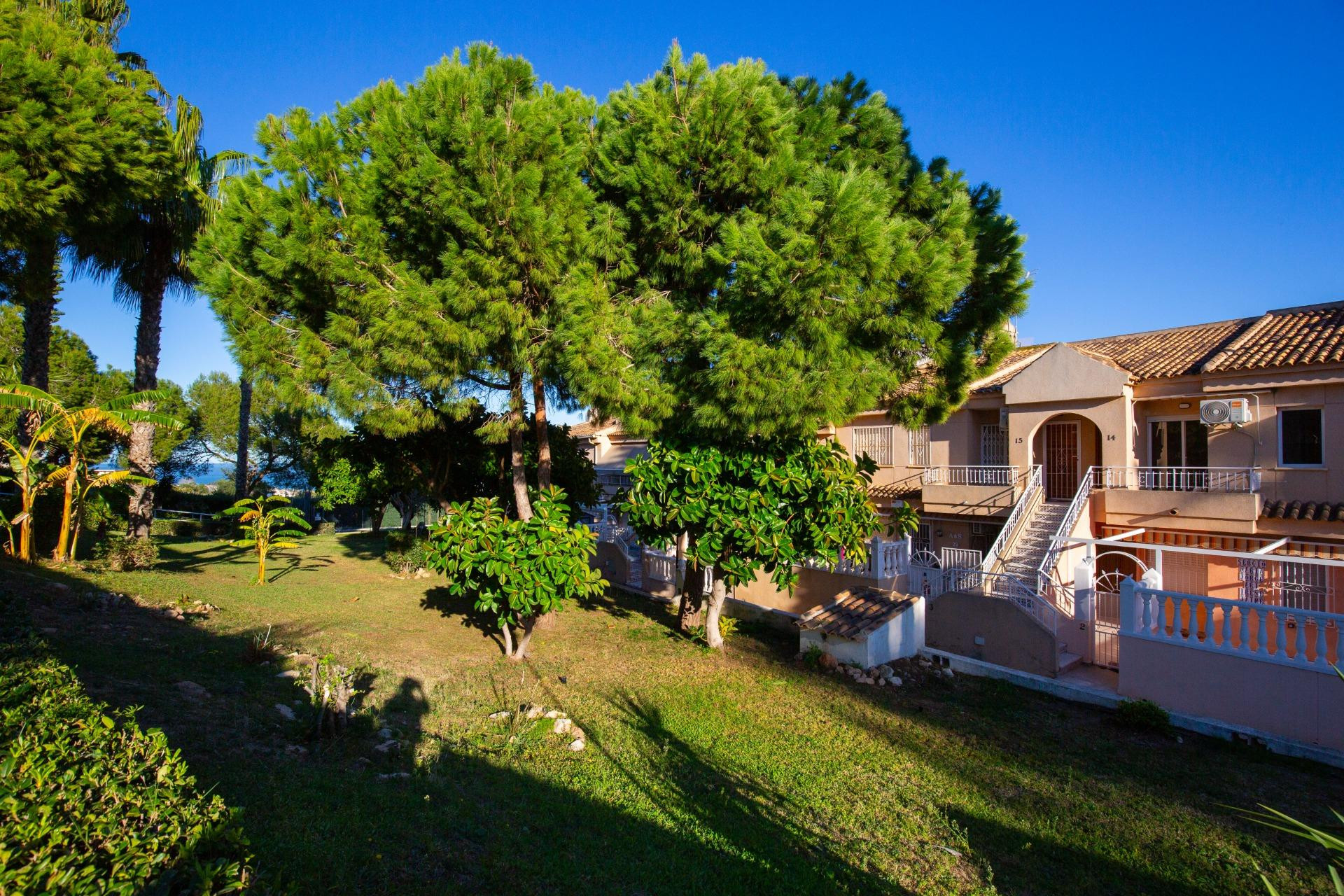 Revente - Apartment - Torrevieja - Torreblanca