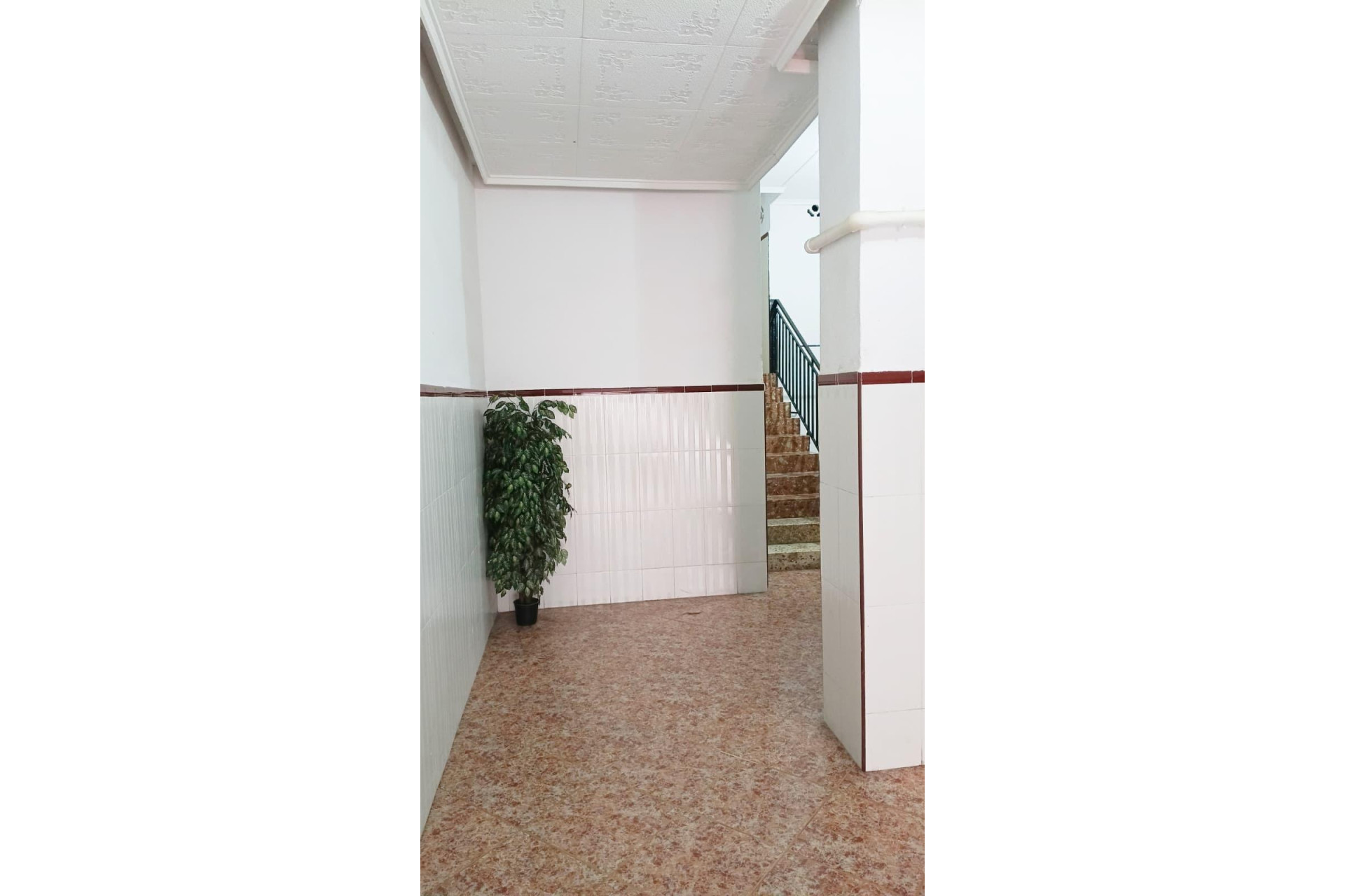 Revente - Apartment - Torrevieja - Torrevieja - Centre