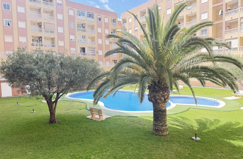 Revente - Apartment - Torrevieja - Torrevieja - Centre
