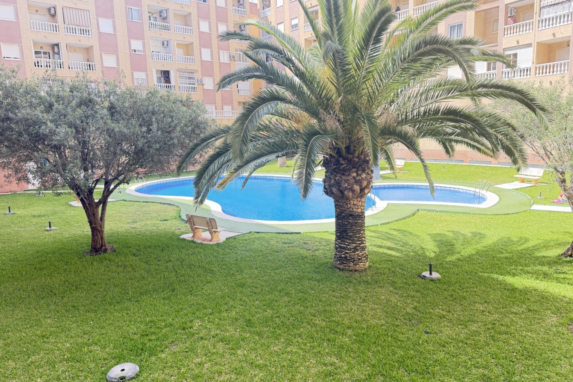 Revente - Apartment - Torrevieja - Torrevieja - Centre