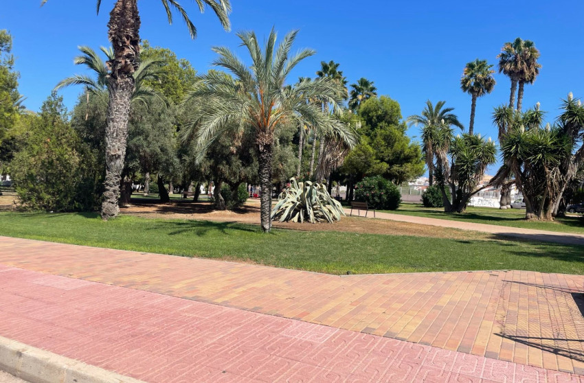 Revente - Apartment - Torrevieja - torrevieja