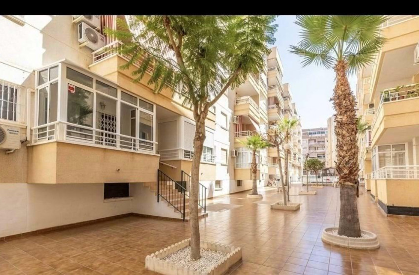 Revente - Apartment - Torrevieja - torrevieja