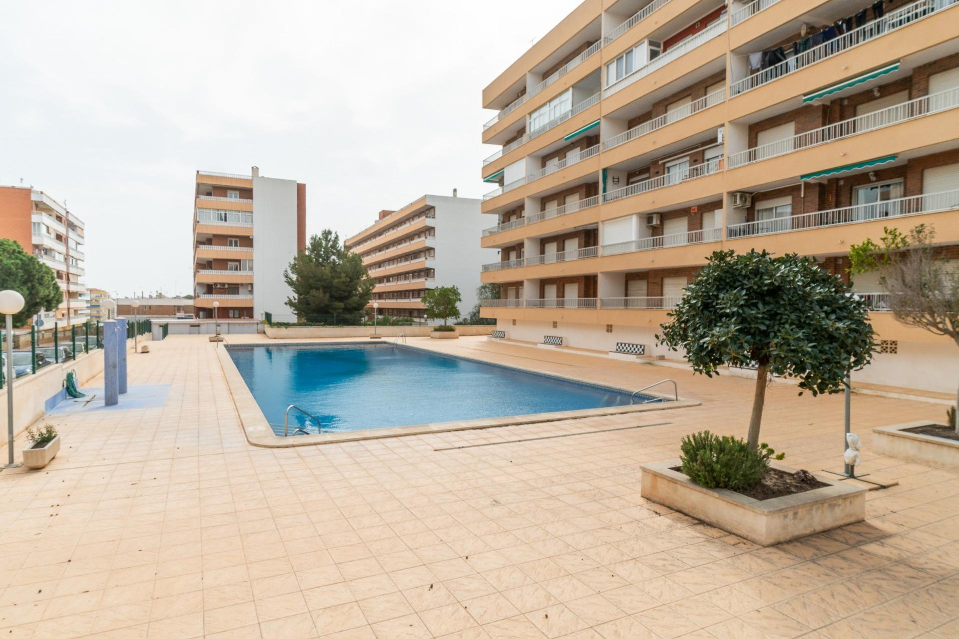 Revente - Apartment - Torrevieja - torrevieja