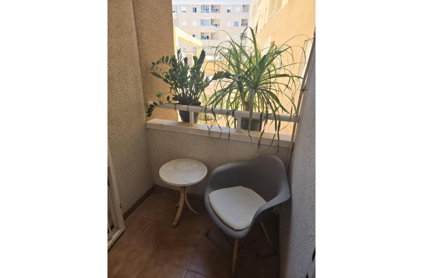 Revente - Apartment - Torrevieja - torrevieja