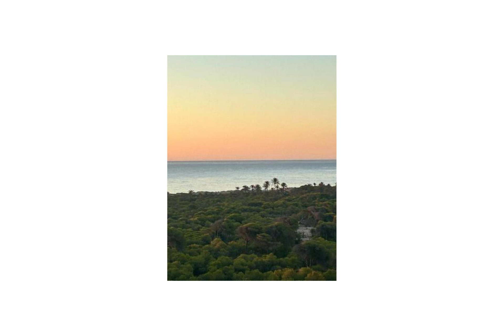 Revente - Apartment - Torrevieja - torrevieja