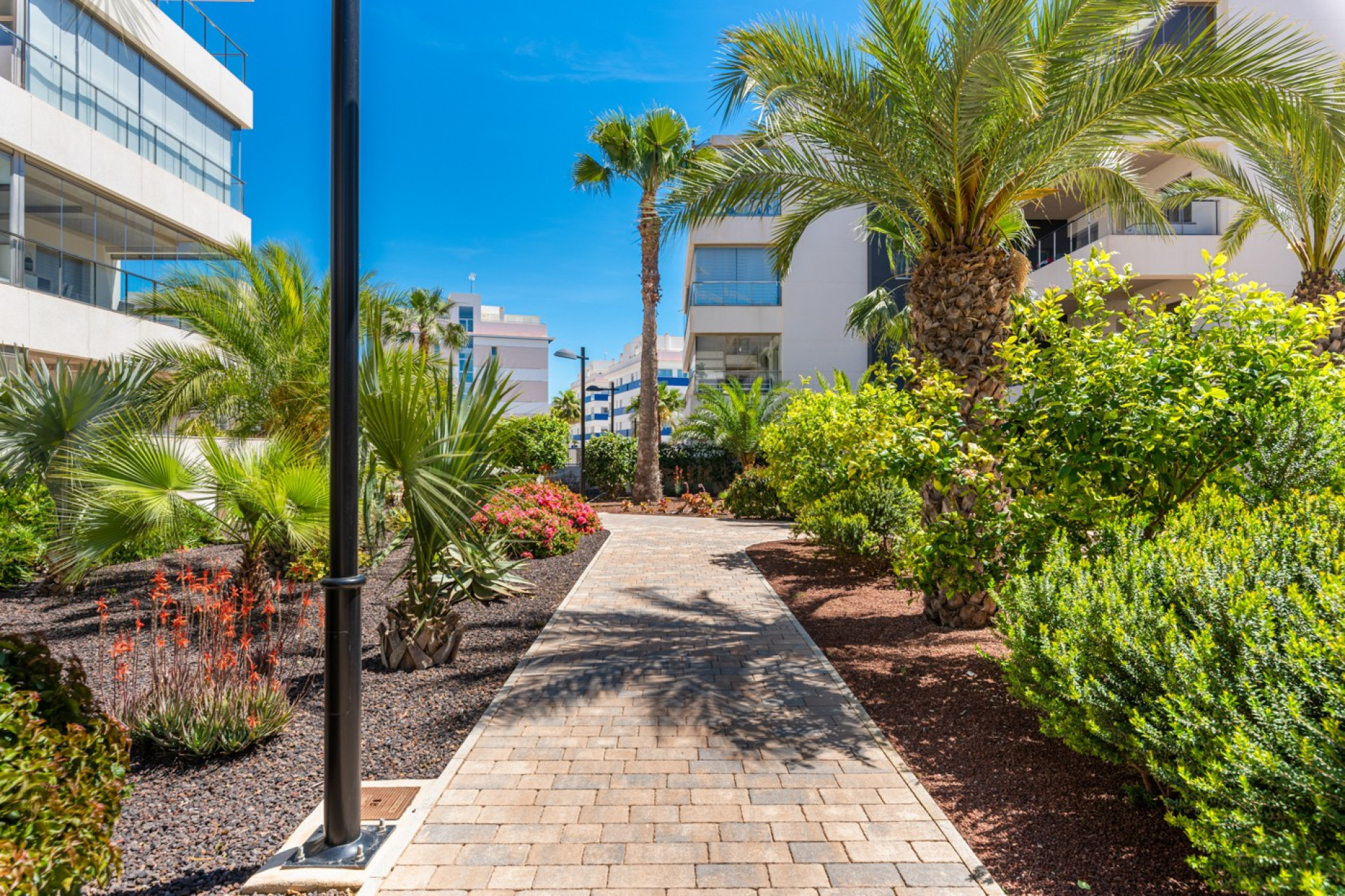 Revente - Apartments - Orihuela Costa - Los Dolses
