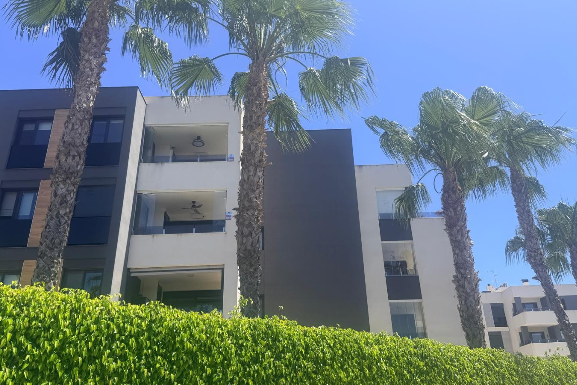 Revente - Appartement - Studio - Los Altos - Torrevieja