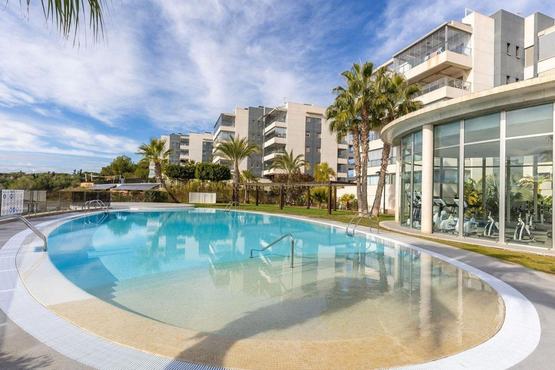 Revente - Appartement - Studio - Los Dolses - Villamartin