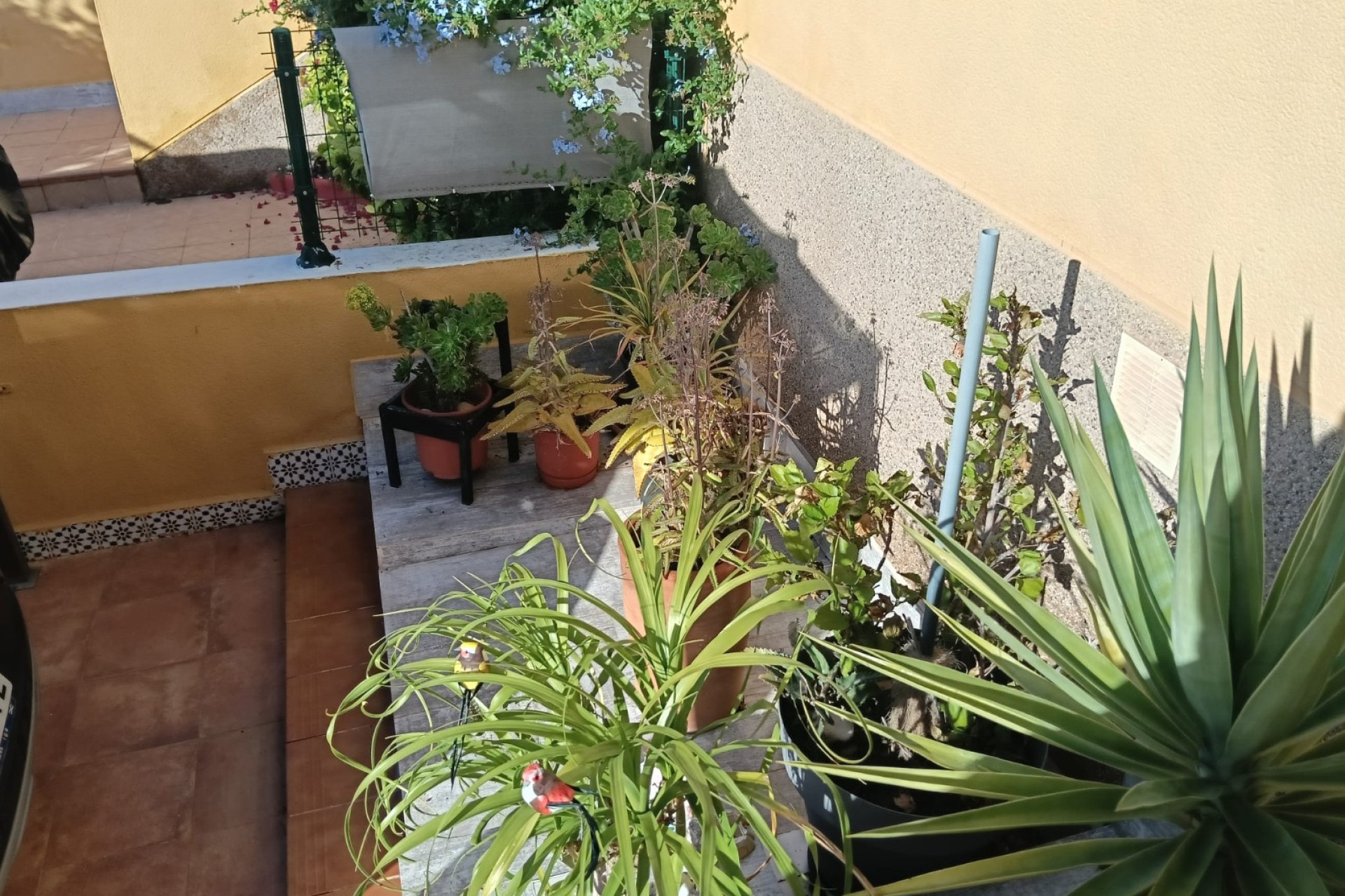 Revente - Appartement - Studio - Los Montesinos - La Herrada