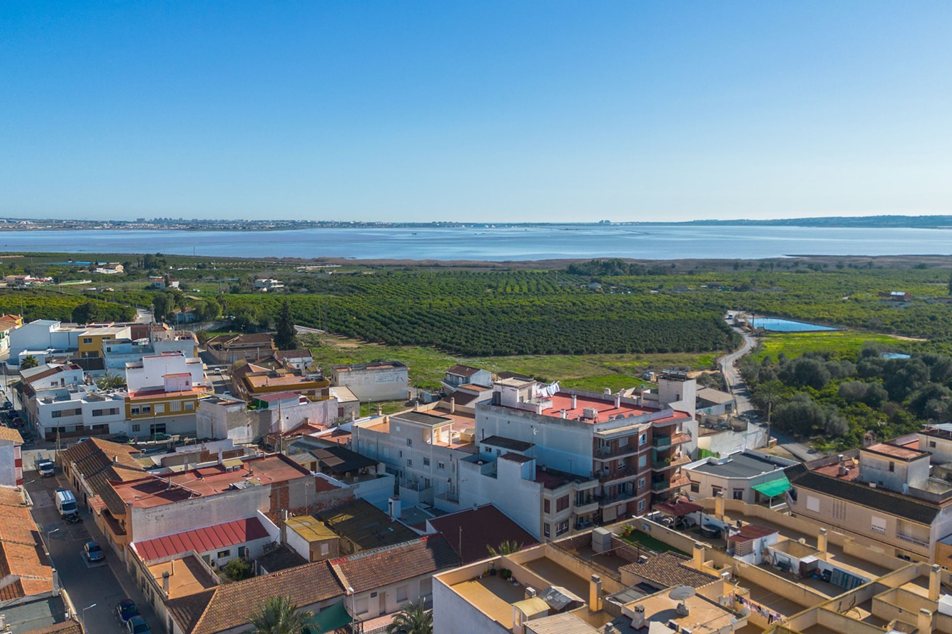 Revente - Appartement - Studio - Los Montesinos