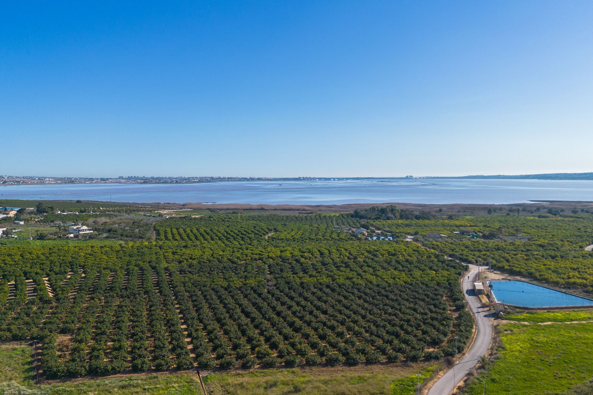 Revente - Appartement - Studio - Los Montesinos