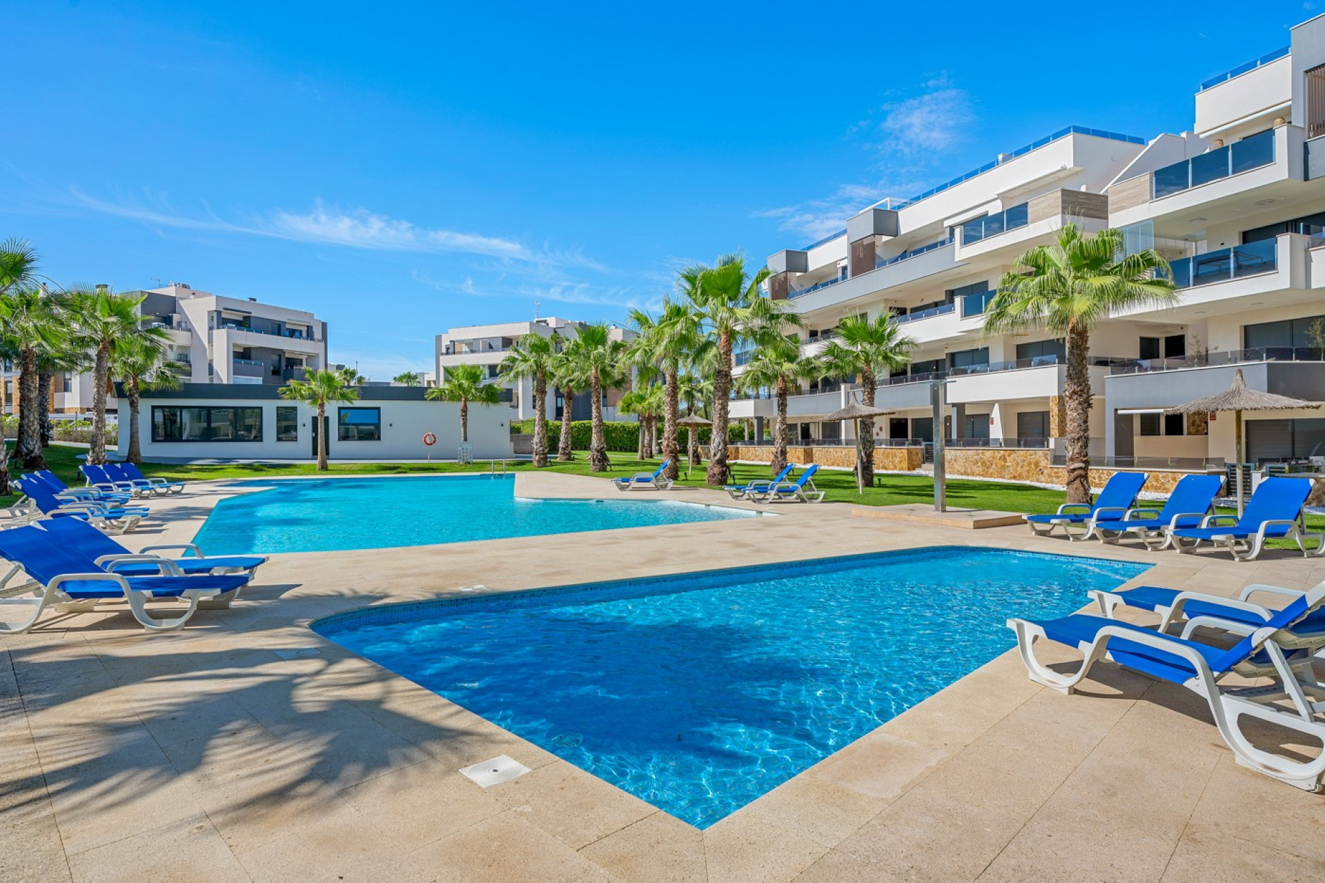 Revente - Appartement - Studio - Orihuela Costa - Los Altos