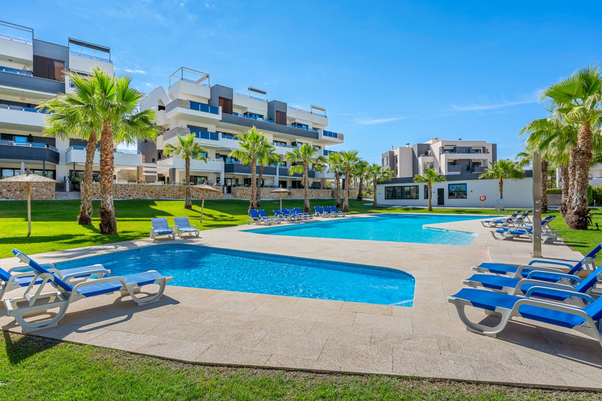 Revente - Appartement - Studio - Orihuela Costa - Los Altos