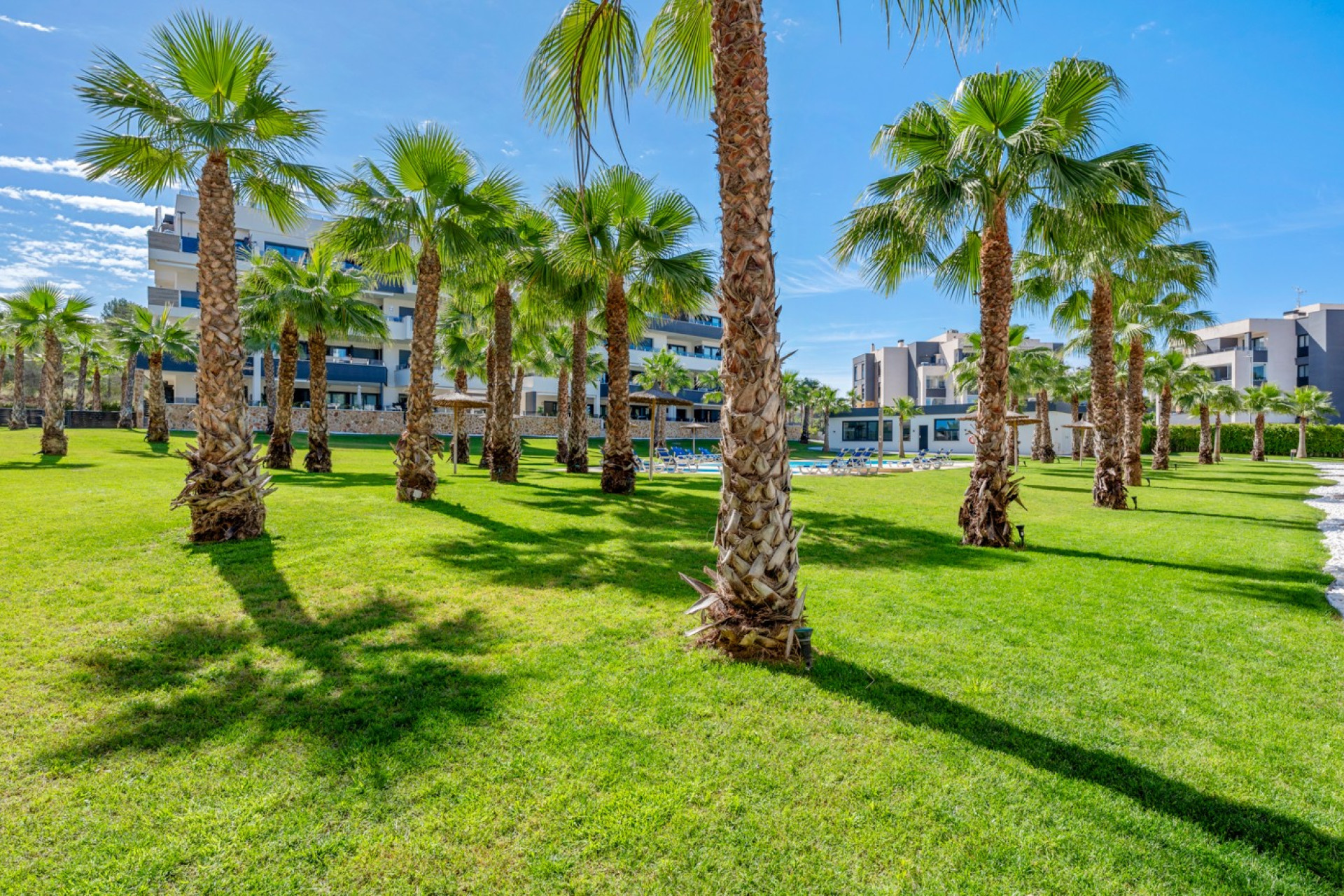Revente - Appartement - Studio - Orihuela Costa - Los Altos