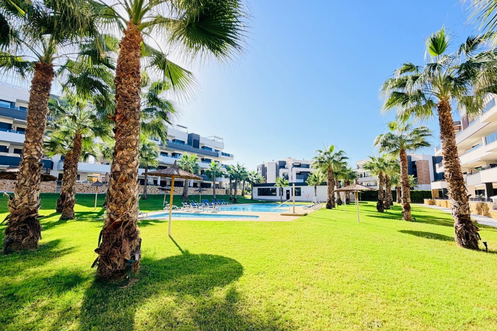 Revente - Appartement - Studio - Orihuela Costa - Los Altos