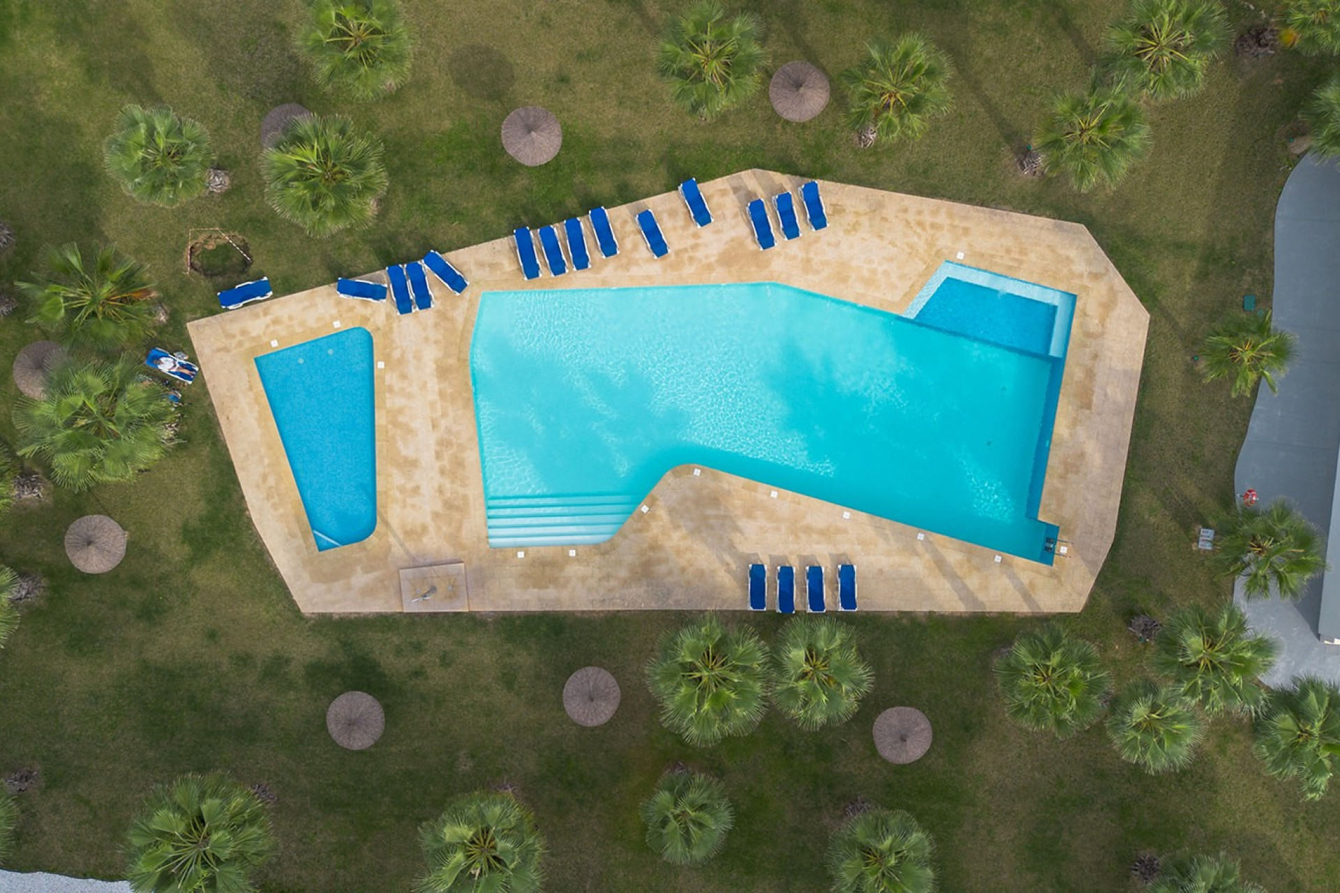 Revente - Appartement - Studio - Orihuela Costa - Orihuela