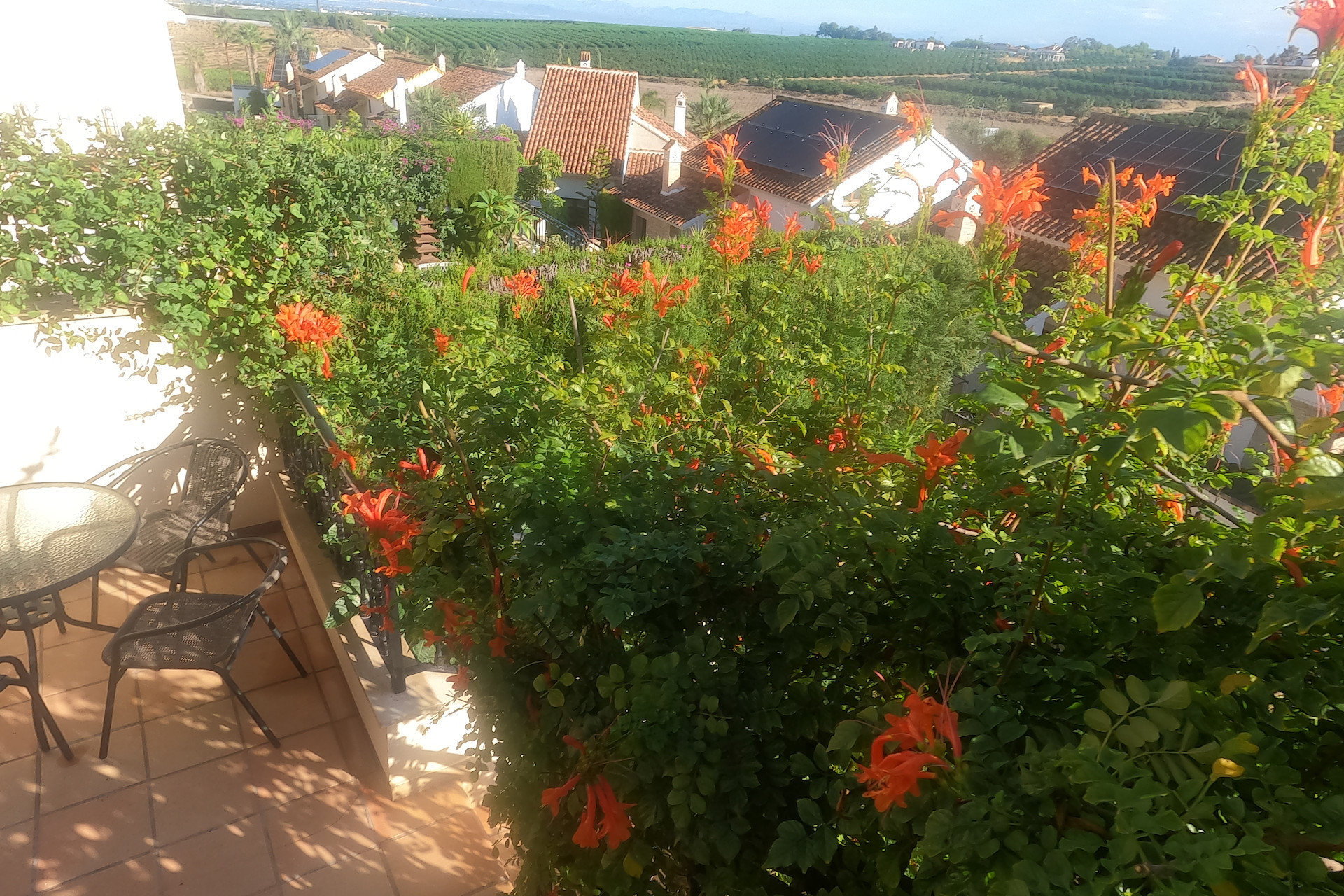 Revente - Bungalow - Rez-de-chaussée - Algorfa - La Finca Golf