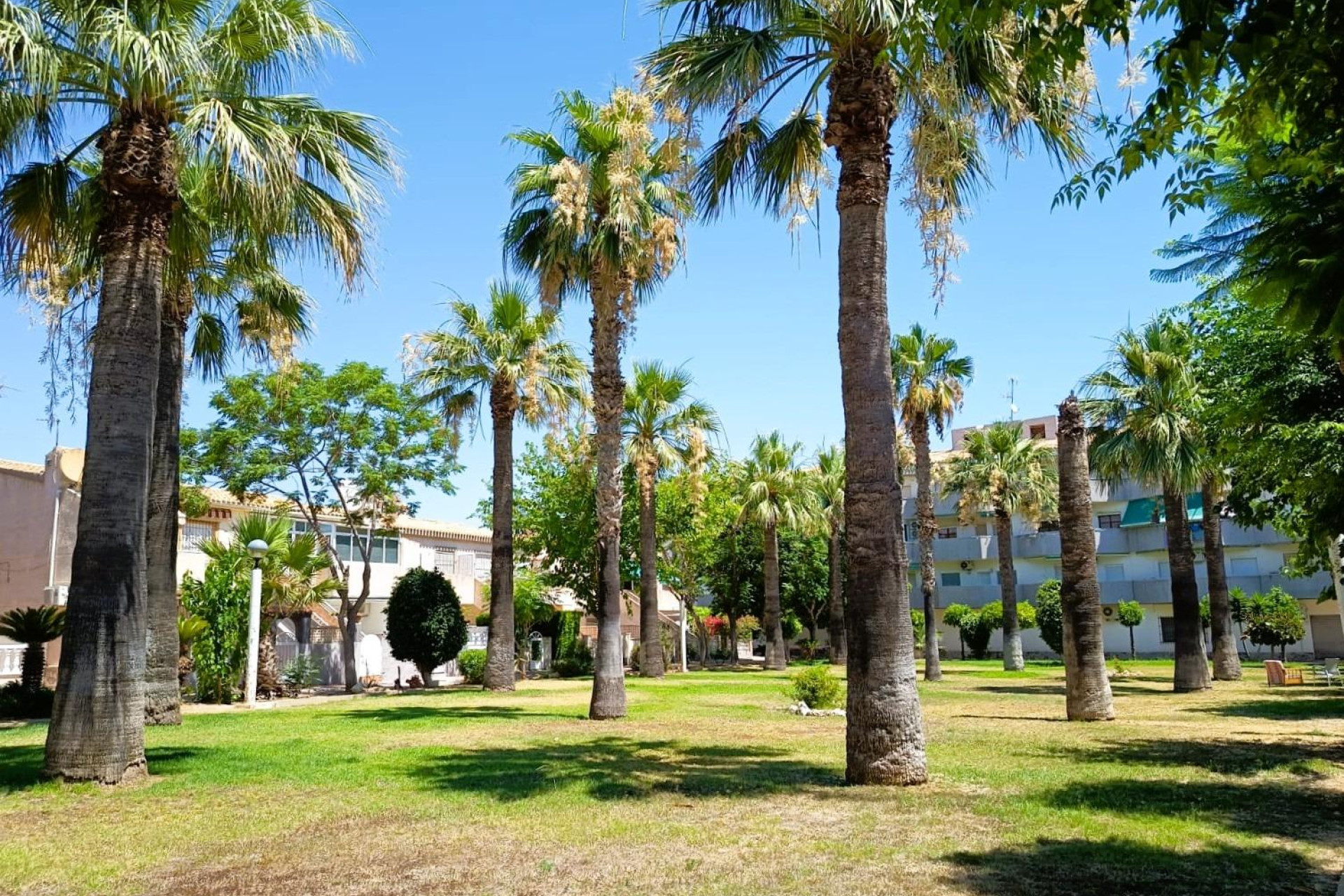 Revente - Bungalow - Rez-de-chaussée - Orihuela Costa - La Regia