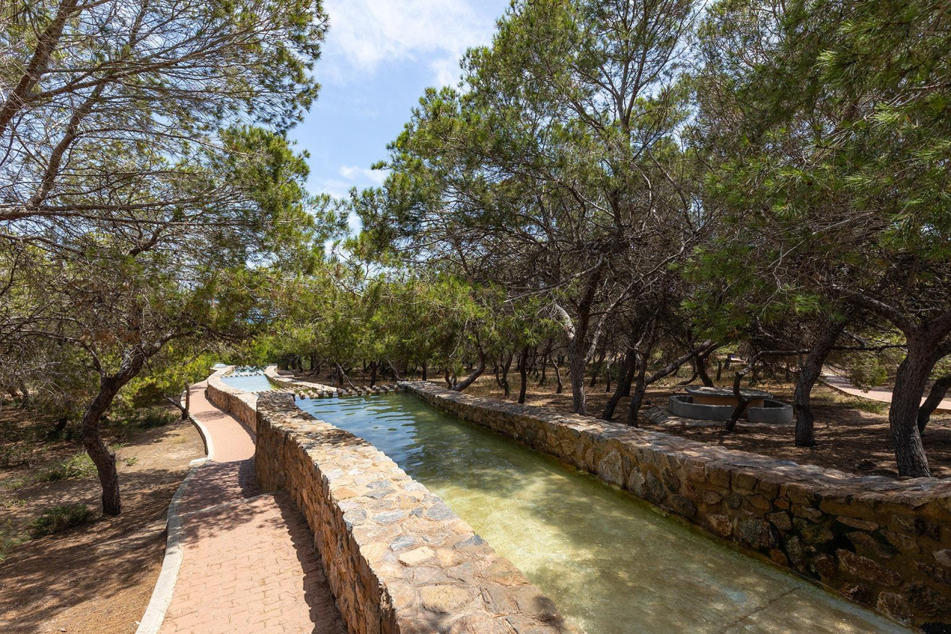 Revente - Bungalow - Rez-de-chaussée - Torrevieja - La Mata