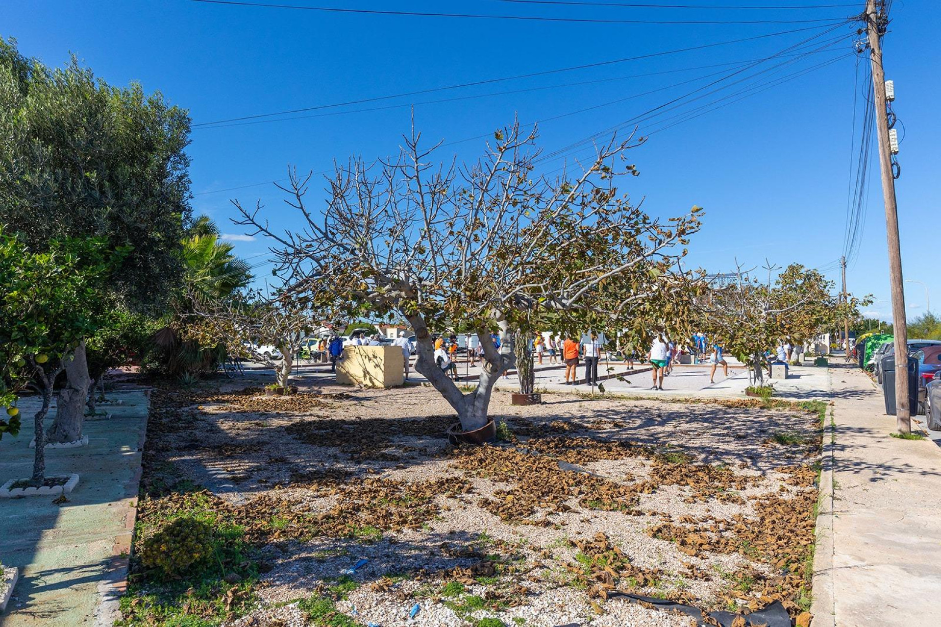 Revente - Bungalow - Rez-de-chaussée - Torrevieja - La Siesta - El Salado - Torreta